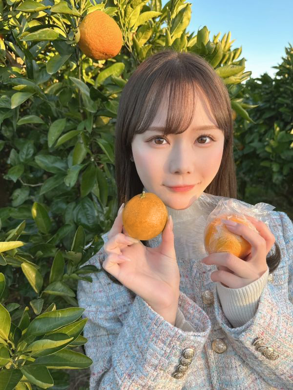 2日目の観光はみかん狩り🍊です